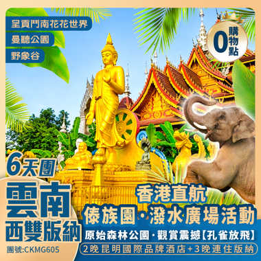 昆明+西雙版納【西山龍門/原始森林公園/野象谷/景洪大金塔/星光夜市】鮮花接機禮遇·香港直航6天團