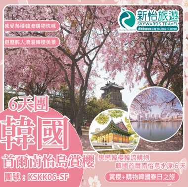 戀戀韓櫻韓流購物 ‧ 韓國首爾南怡島水原６天