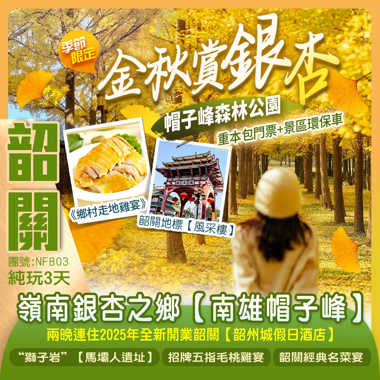 【季節限定】攝影聖地 嶺南銀杏之鄉【南雄帽子峰】連住2晚國際品牌酒店 行街宵夜方便 純玩3天