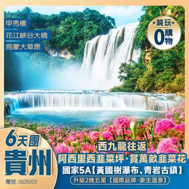 【雲上花海】貴州涼都六盤水 阿西里西韭菜坪 黃果樹瀑布 青岩古鎮 夜郎洞 升級2晚【國際品牌·豪生溫泉】西九龍往返 高鐵純玩6天團