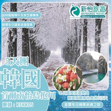 冬日賞雪浪漫戀曲 ‧ 韓國首爾南怡島抱川5天